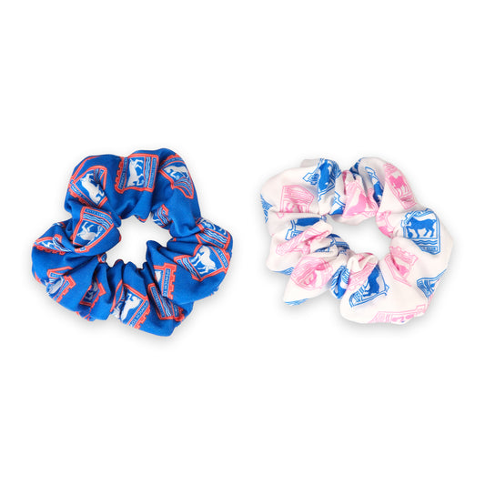 2pk Hair Scrunchies