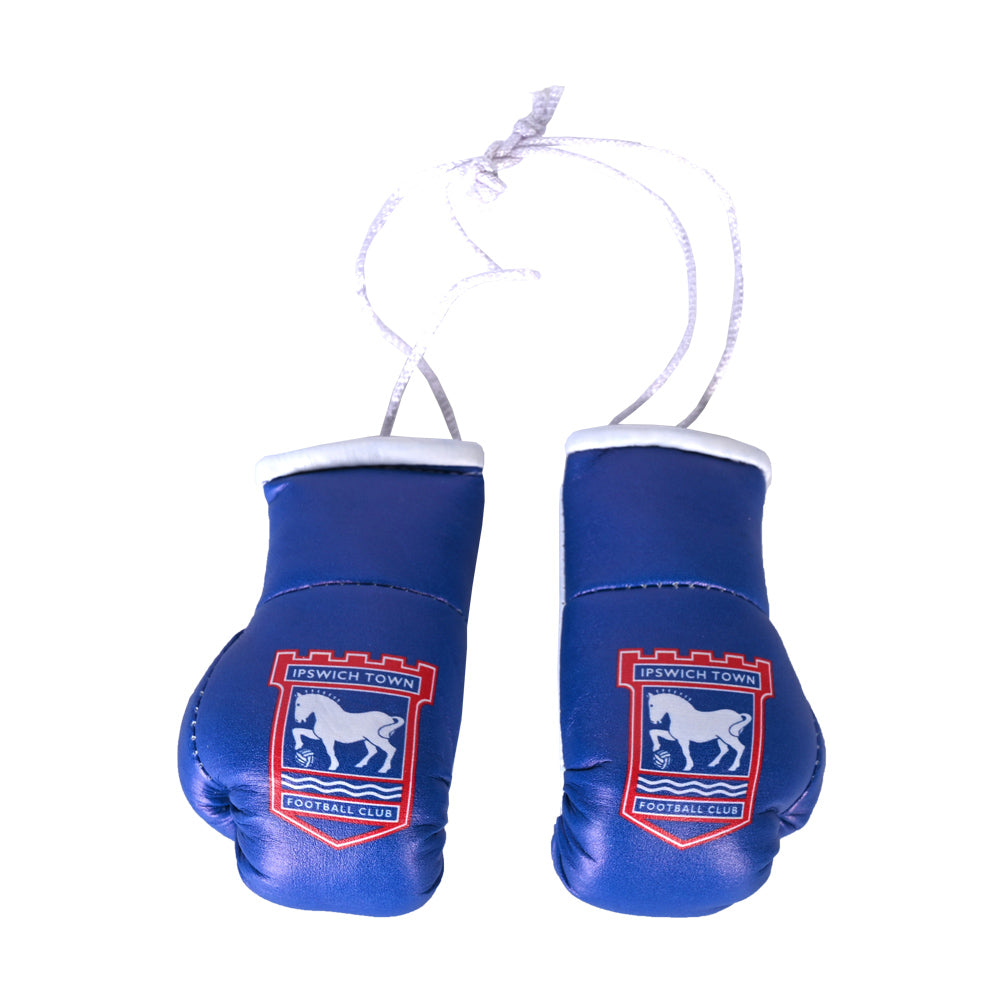 Blue/White Hanging Boxing Gloves