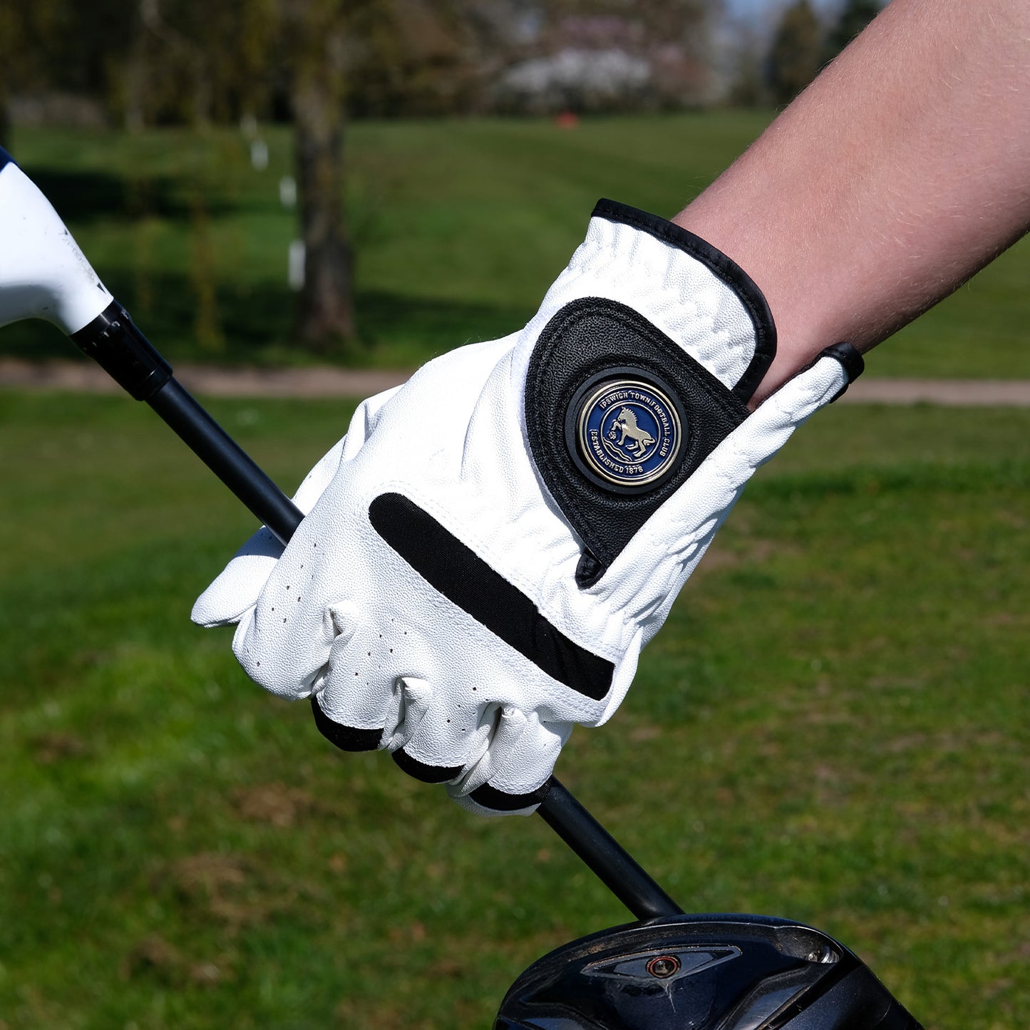 Premium Logo Golf Glove Left