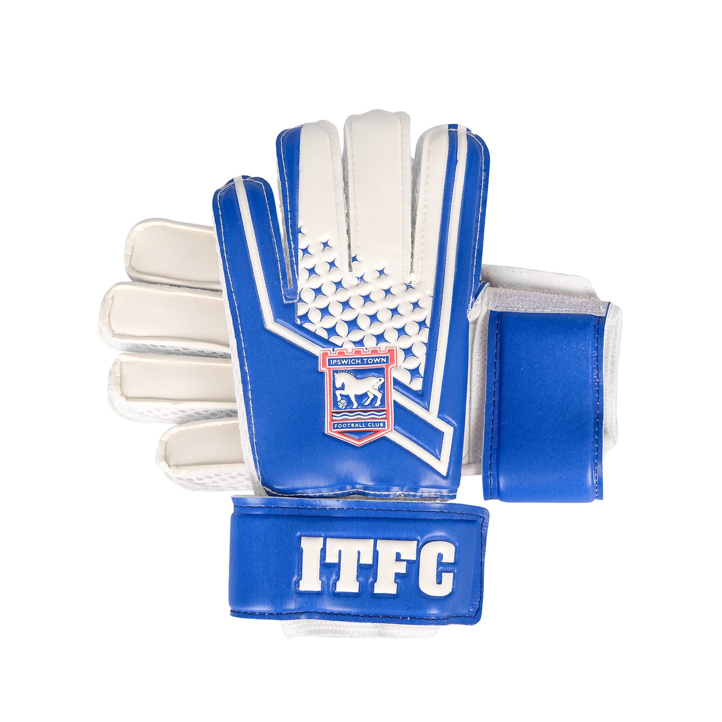 Blue/White Goalkeeper Gloves