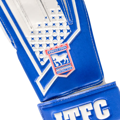 Blue/White Goalkeeper Gloves