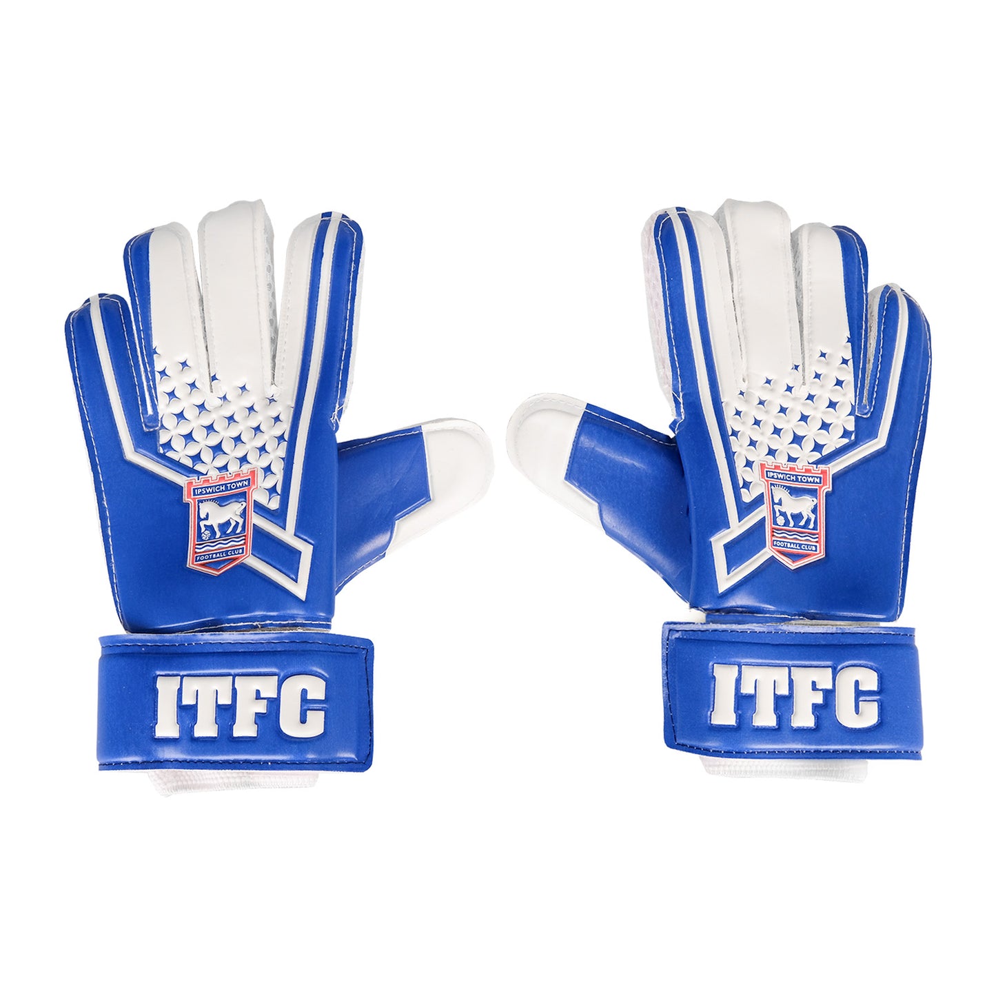 Blue/White Goalkeeper Gloves