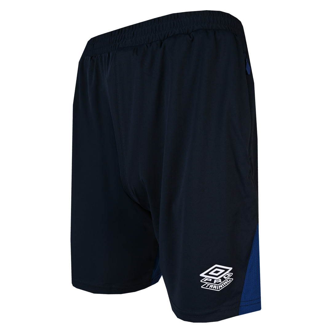 Umbro 2026/27 Blueberry Training Shorts Adult