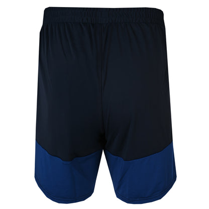 Umbro 2026/27 Blueberry Training Shorts Adult