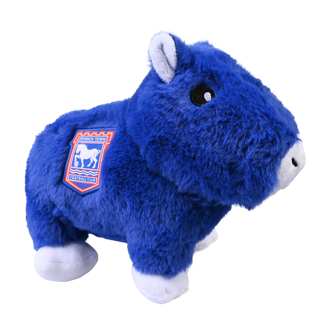 ITFC Capybara