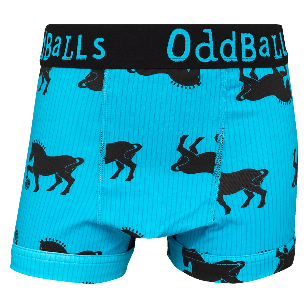 Oddballs Electric Blue Suffolk Punch Boxers Kids
