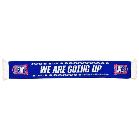 ***PRE-ORDER*** We Are Going Up Scarf