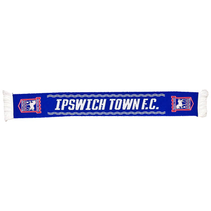 ***PRE-ORDER*** We Are Going Up Scarf
