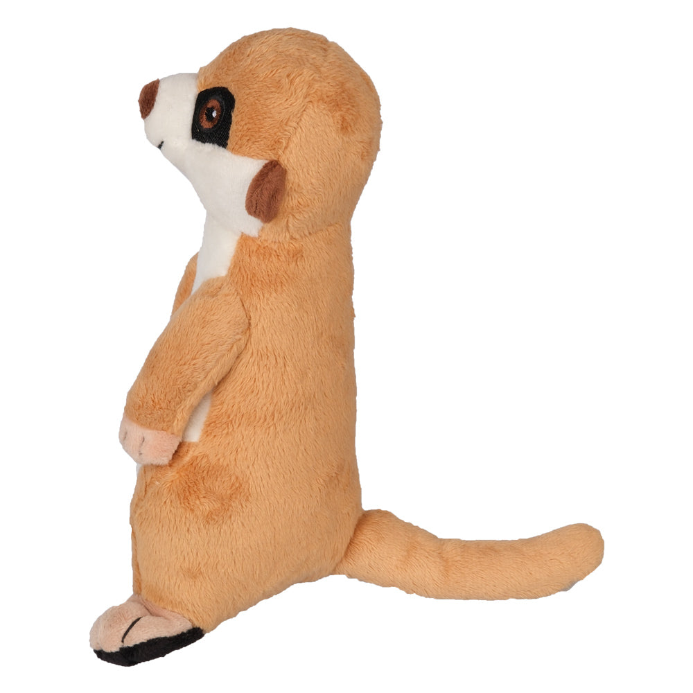 ITFC Mini Meerkat