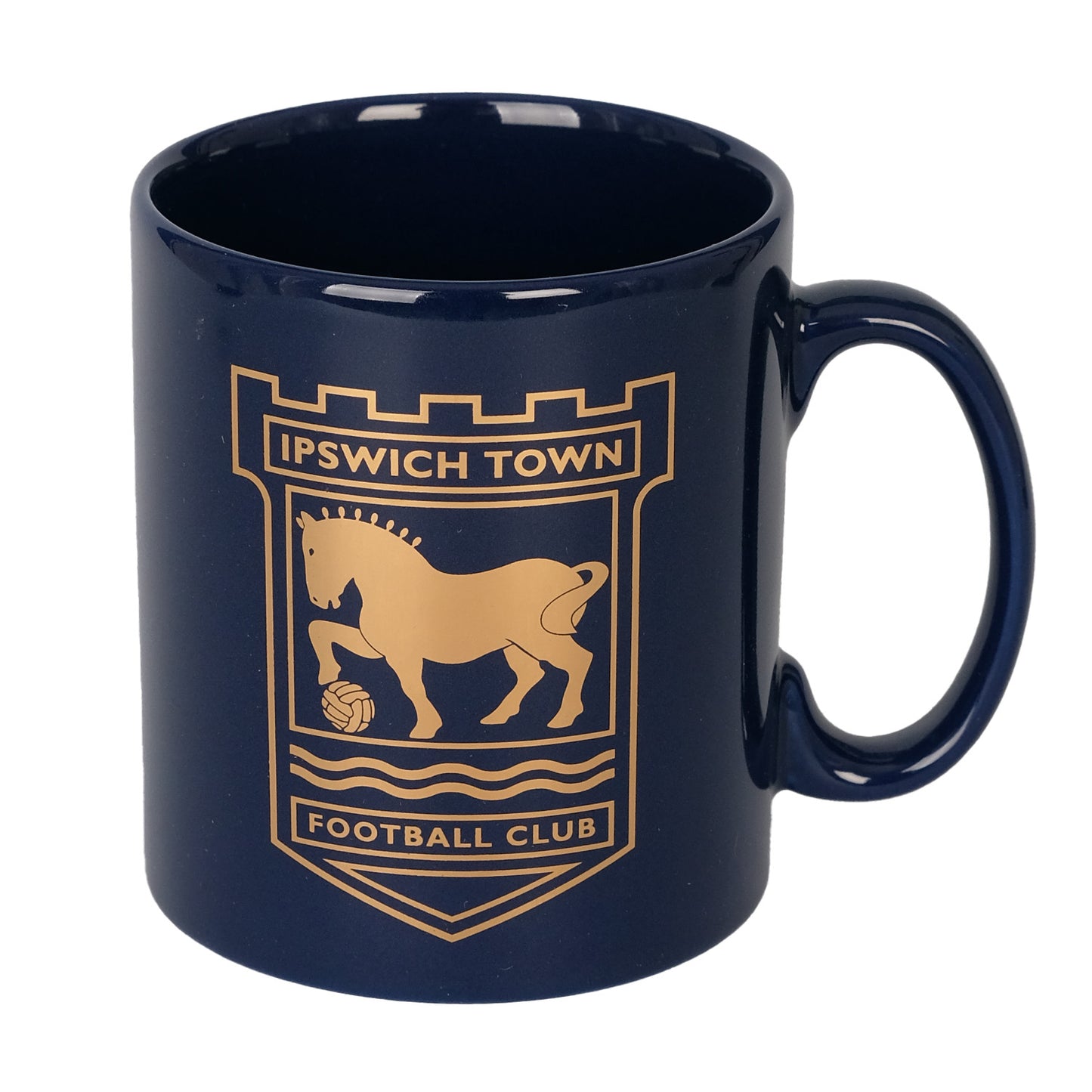 Navy Gold Leaf Mug