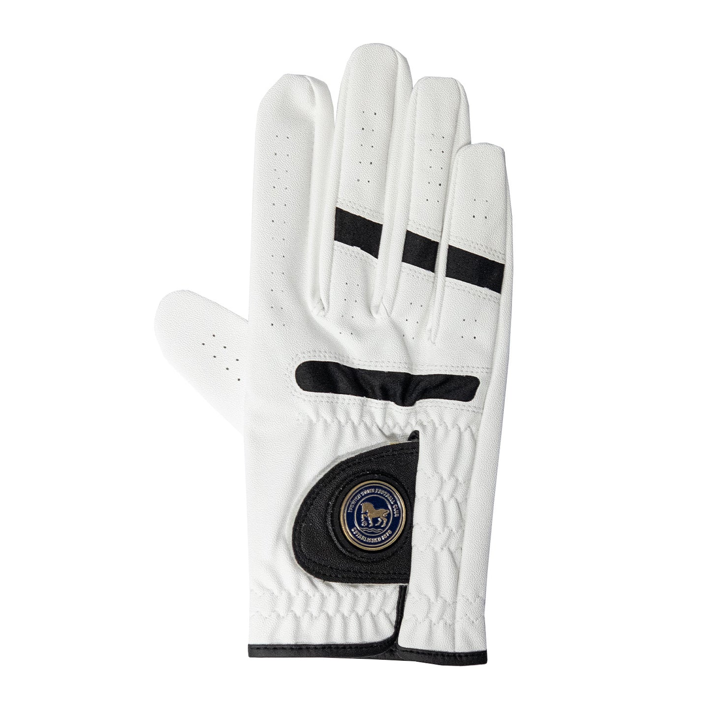 Premium Logo Golf Glove Right