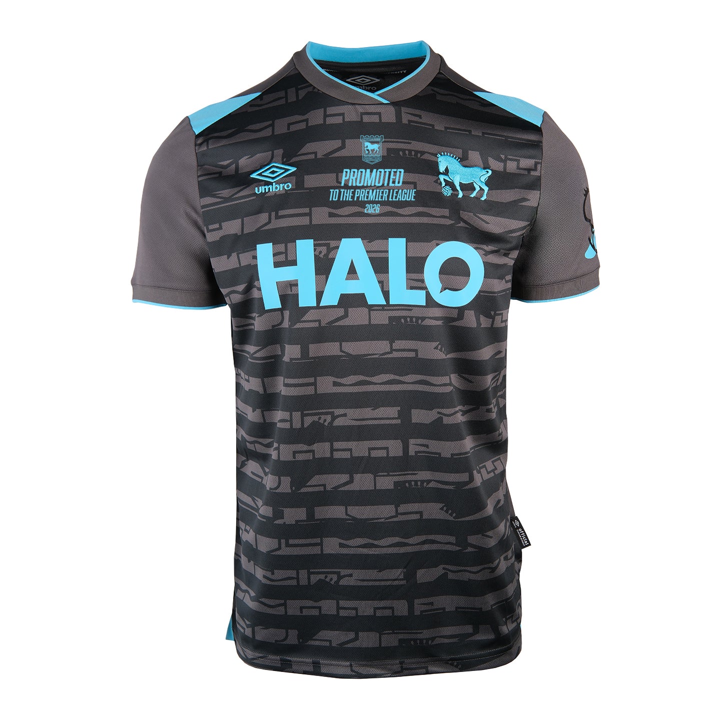 2025/26 Promoted Souvenir Third Shirt Adult