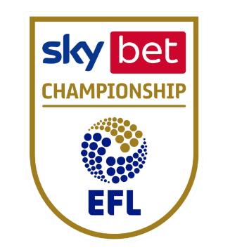 EFL Championship Sleeve Badge - Adult